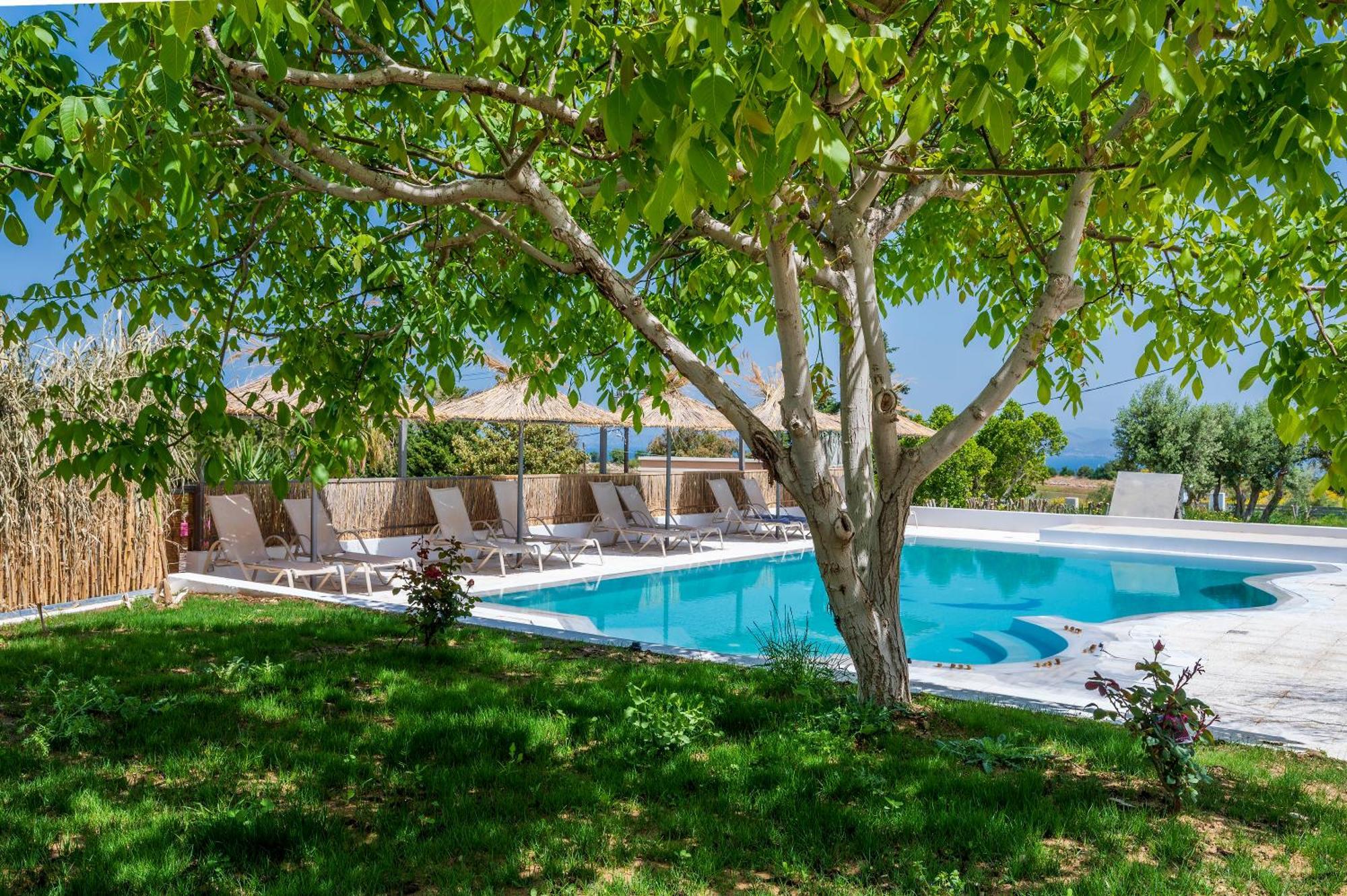 Homes Eva'S Garden, Poolside Cozy Havens In Kos Agios Dimitrios  Kültér fotó