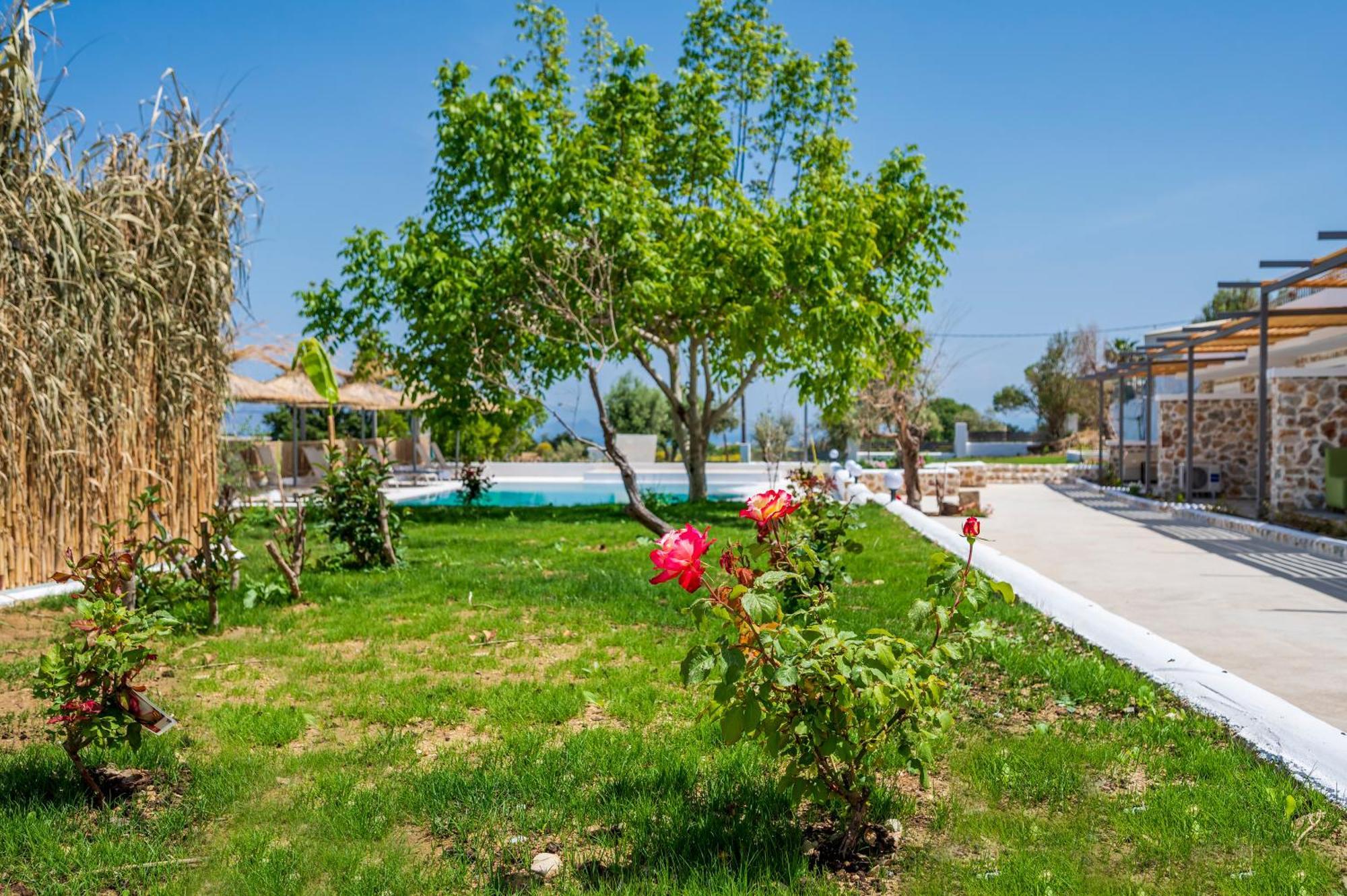 Homes Eva'S Garden, Poolside Cozy Havens In Kos Agios Dimitrios  Kültér fotó